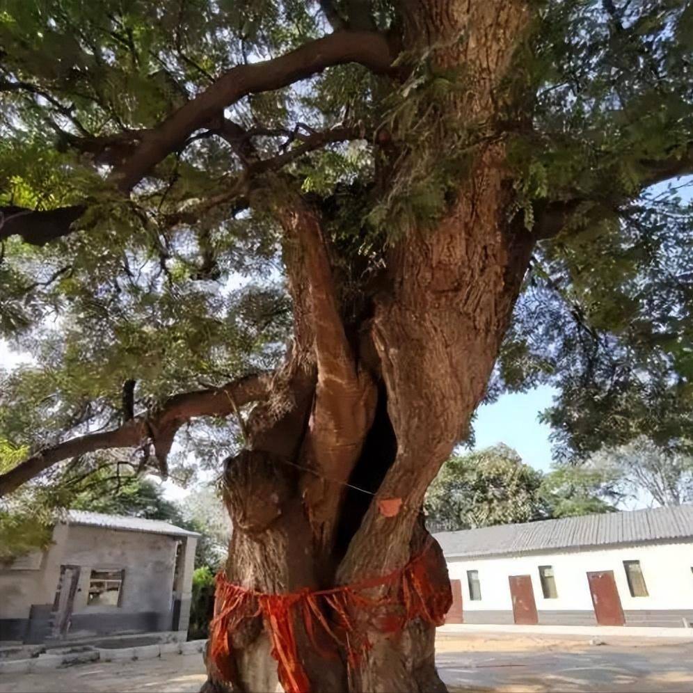 清朝人潘伦恩，记述的三则奇闻异事，让人不得不相信劫数的厉害