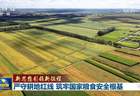 【新思想引领新征程】严守耕地红线 筑牢国家粮食安全根基