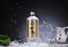 暂凭杯酒，终向星河