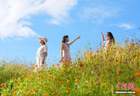 10月1日成都兴隆湖畔花海即将启幕 游人可赏天际线与花海同框景致