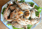 品读盘锦非遗(第39期)| 田庄台海鲜卤货制作技艺