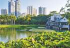 市民“出门进园”成寻常,厦门目前共有300多座公园(含口袋公园)