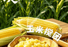 阿坝盛宴丨玉米搅团,“搅”出一碗山野康养滋味