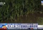 大桥被淹没、玉米泡水1米深，直击辽宁凌源强降雨现场