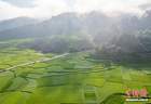 贵州从江：盛夏乡村田园美