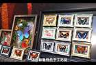 可看可玩可品 首博文创让您“挖到宝”