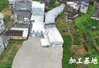 五山茶叶的创新能力如何，研发能力强吗