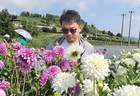 白碗窑镇新窑花海大丽花盛开 吸引众多游客赏花观光