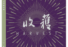 荆歌《三刀蝉》：一枚玉蝉照见两千年生死虚妄