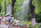 山东济南：泉水与繁花共生 沉浸式品读泉城韵味