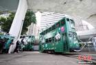大熊猫生日主题电车巡游香港岛
