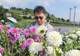 白碗窑镇新窑花海大丽花盛开 吸引众多游客赏花观光