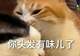 一出汗就滂臭!孩子这个部位,你可能真没洗对过……