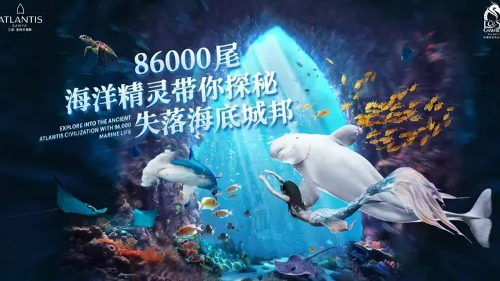 司机从我的行李箱接过,箱子轮子在地上转了两圈
