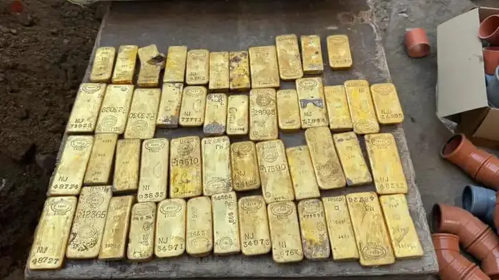 比利时18岁男生暑期打工挖下水道,挖出900万欧元金币