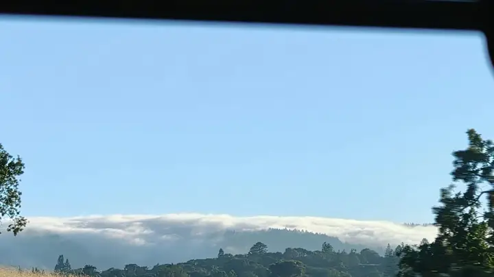 从洛杉矶到旧金山:探索加州西海岸的自然风光之旅