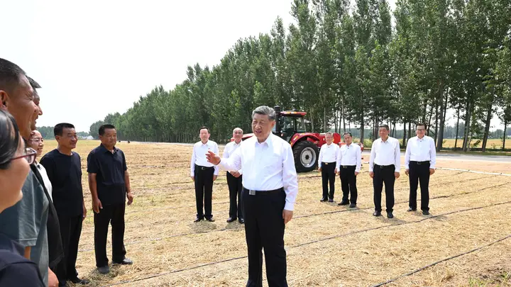 记者手记:根脉在大地上,力量在人民中