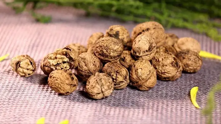 坚果助脑力不退化？哪种坚果最推荐？每天吃多少？想要身体健康，别忘了发酵食品！