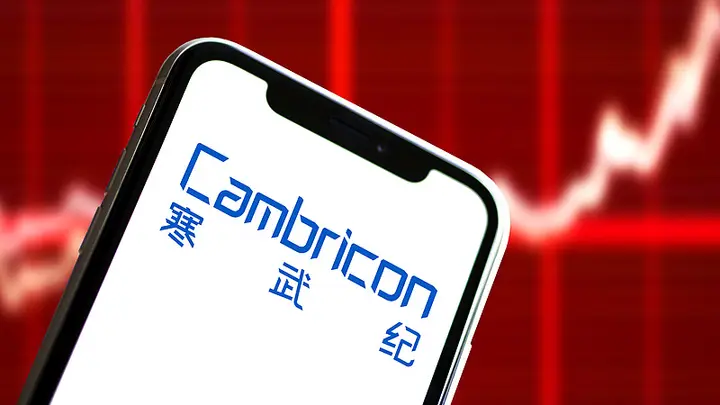 科创板首支万亿市值股诞生!寒武纪十一个月暴涨363%