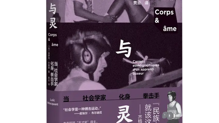 哲学新书联合书单|当社会学家化身拳击手
