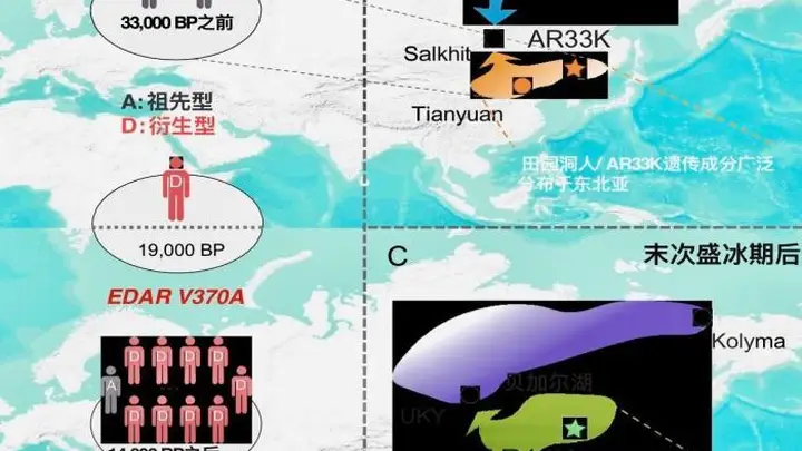 付巧妹:古人类演化研究将向更古老进军和史前更近时代延伸