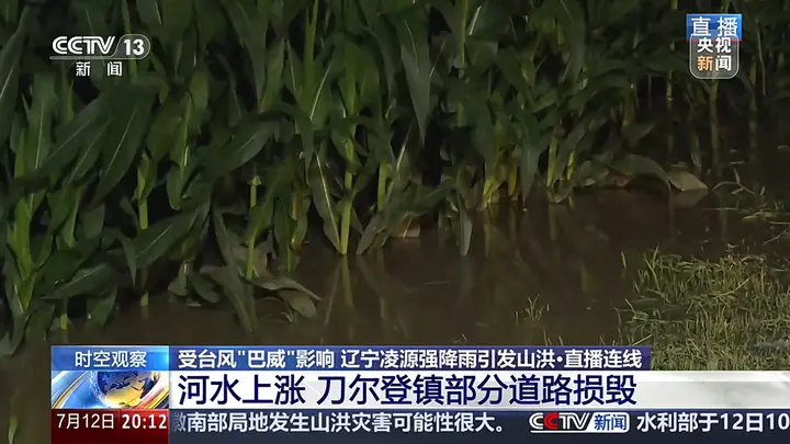 大桥被淹没、玉米泡水1米深,直击辽宁凌源强降雨现场