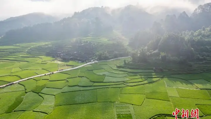 贵州从江:盛夏乡村田园美