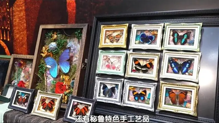 可看可玩可品 首博文创让您“挖到宝”