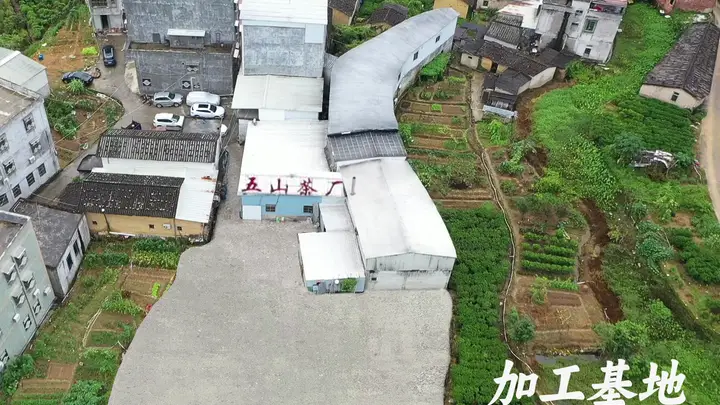 五山茶叶的创新能力如何,研发能力强吗