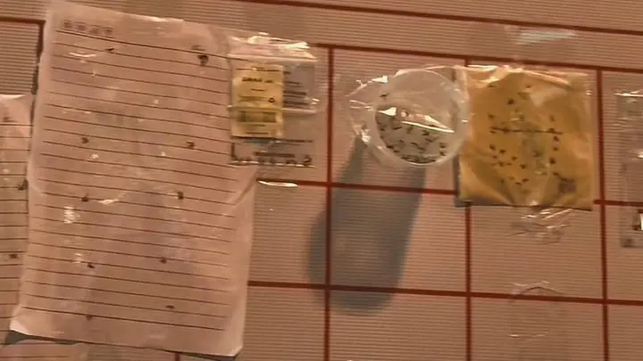 蚊子换奶茶风靡苏北,南京吾悦不跟风