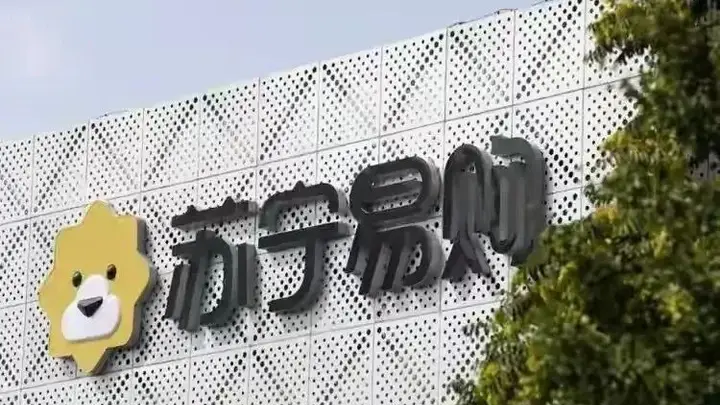 花52亿买来的家乐福中国,200万卖出,苏宁这波操作亏麻了?