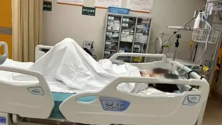上海反虐猫志愿者轻生获救 家属将协助依法维权