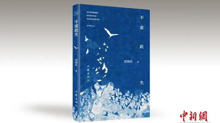 长篇小说《不虚此生》:以文学蒙太奇构筑生命的神话与梦境