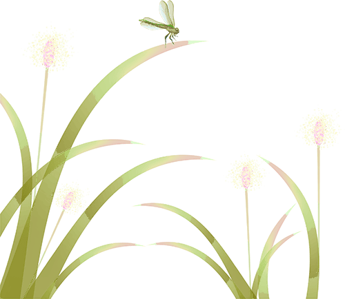 2026六五环境日 | 平湖市开展生态文明宣传活动