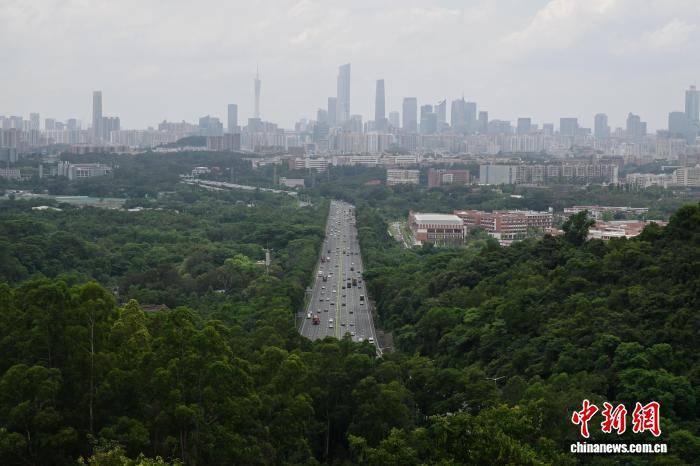 走进广东省龙眼洞林场 探秘广州“城市绿肺”