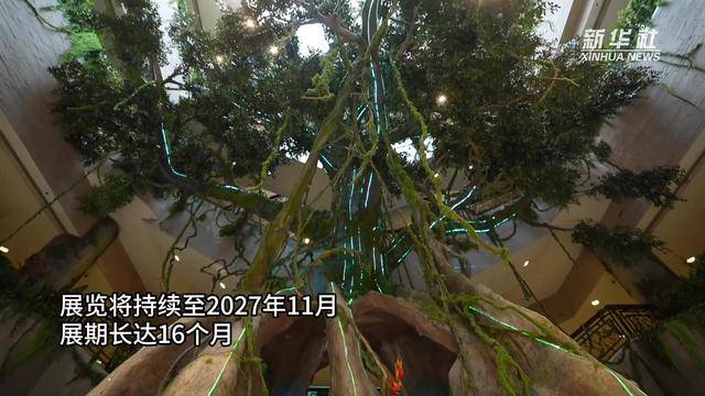 来上海博物馆探秘美洲古文明