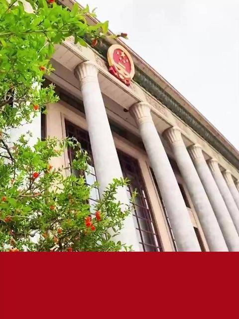 近镜头 | 大国外交的“中国时间”
