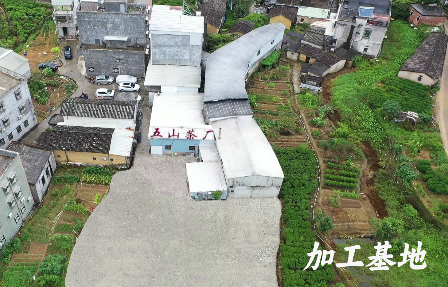 五山茶叶的创新能力如何，研发能力强吗