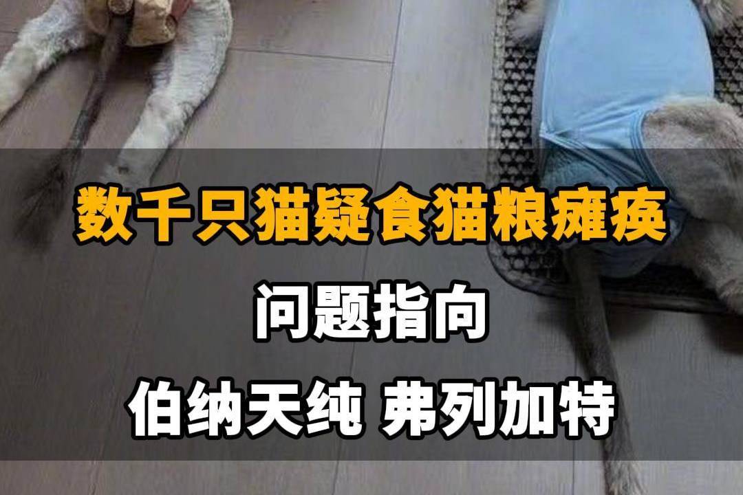 【数千只猫疑食猫粮瘫痪，问题指向伯纳天纯、弗列加特，伯纳天纯回应：已成立专项小组跟进调查】