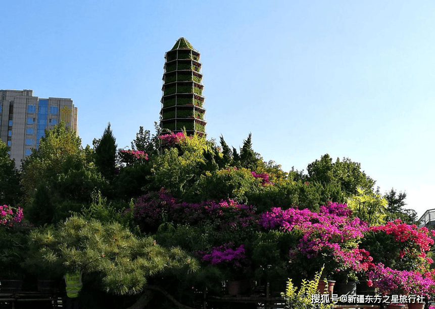 穿越天山南北，在伊犁河谷的草原、花海与雪峰间寻找新疆的夏日诗篇——一份实用旅行指南