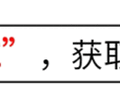 鲁迅的教育部佥事兼科长到底是多大的官？为何多次在文章里说这事