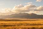 组队徒步武功山山脚溯溪玩水，再轻登山赏高山草甸风光放松