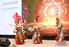 “郑和行之友谊使者”系列文化活动在印尼雅加达启动