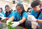 “寻根之旅”遇宋代点茶：12国华裔青少年海南沉浸式体验中国茶文化