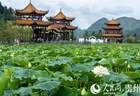 7月起贵州安龙荷乡夜游启幕 活动持续至10月8日邀您共赴民族文旅盛会