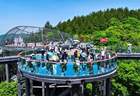 在四川达州，藏着一个21℃的夏天｜清凉大巴山
