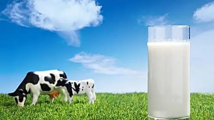 别再传了!复原乳真的很可靠!