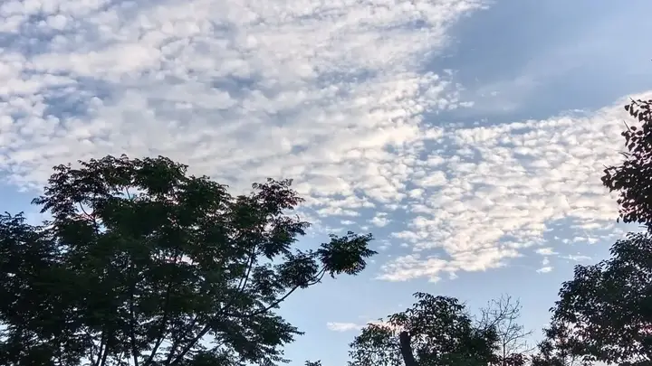 高考698分却称“考砸”：“最差即最优”焦虑背后的新解