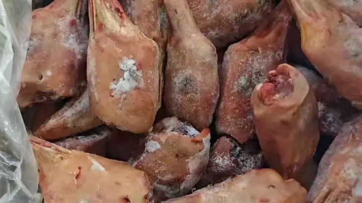鹅肝在餐饮应用中的选型关注点与适配场景分析