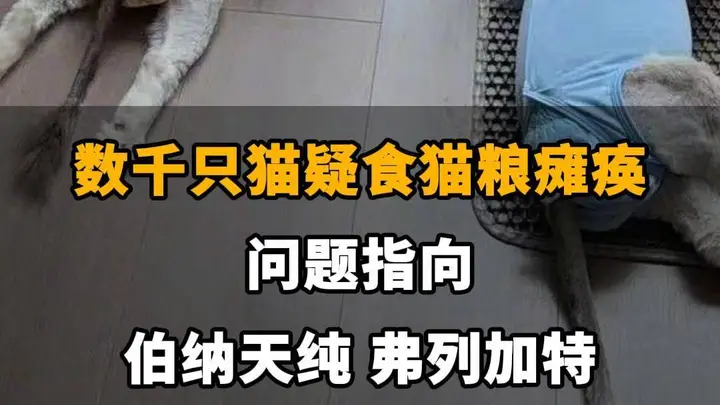 【数千只猫疑食猫粮瘫痪，问题指向伯纳天纯、弗列加特，伯纳天纯回应：已成立专项小组跟进调查】